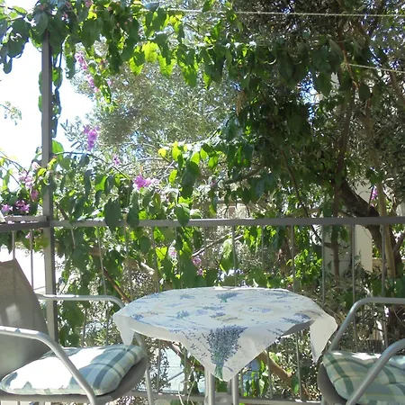 ゲストハウス Kovacic マカルスカ