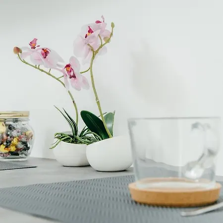 Πανσιόν Kovacic 3*