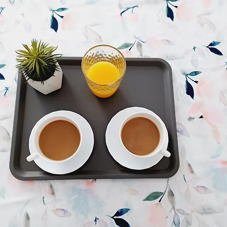 Πανσιόν Kovacic