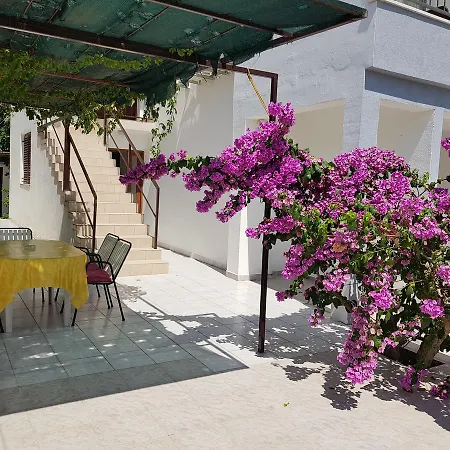 Kovacic 3* מאקרסקה